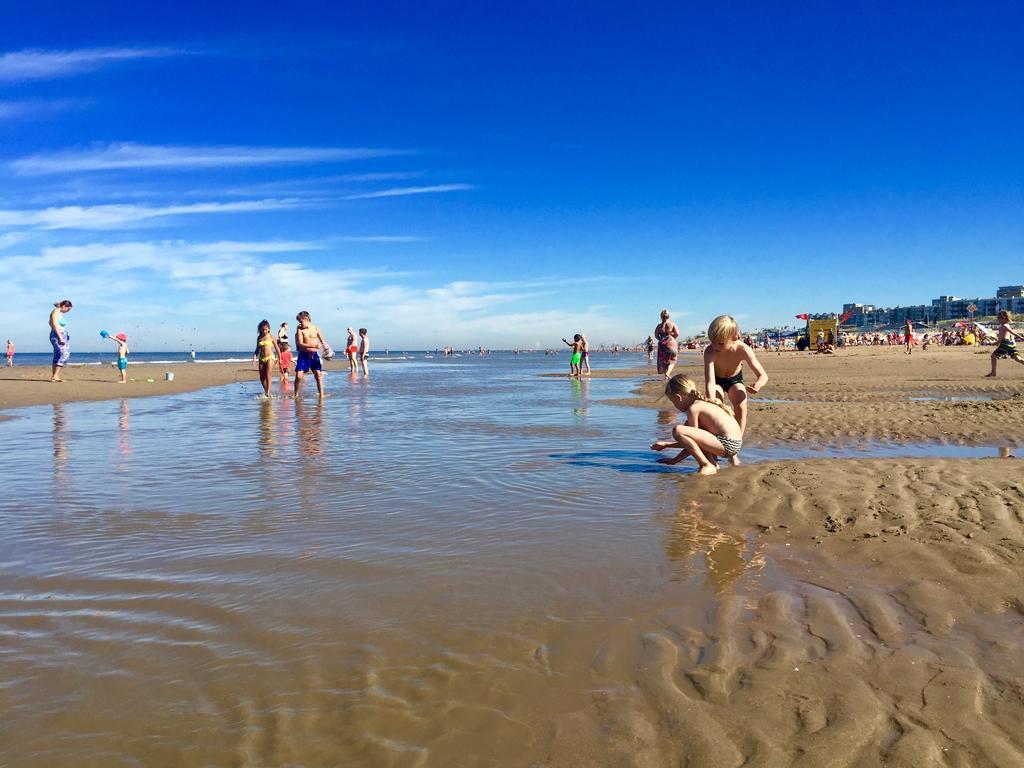Schelp 47 Lejlighed Zandvoort Eksteriør billede